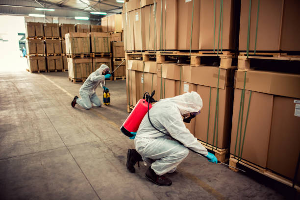 Best Pest Control Near Me  in Logan Elm Village, OH