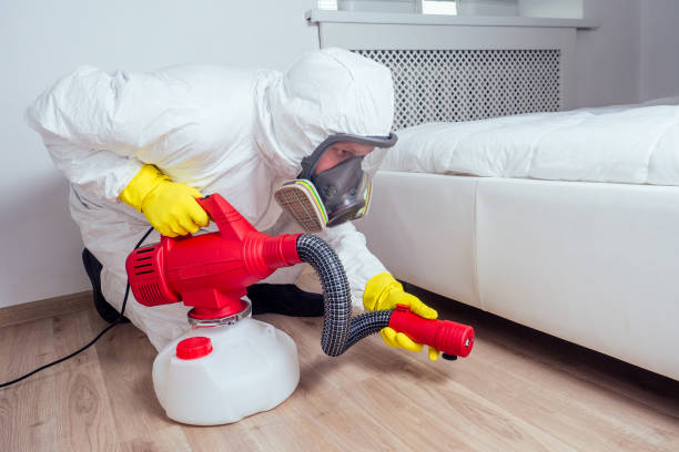 Best Insect Control  in Logan Elm Village, OH