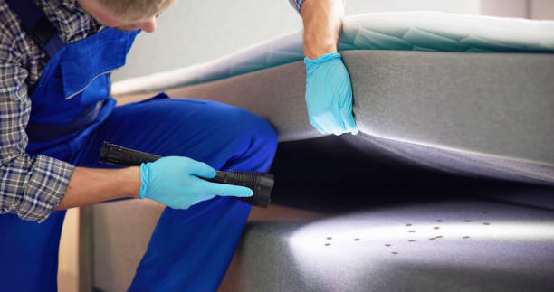 Best Residential Pest Control  in Logan Elm Village, OH