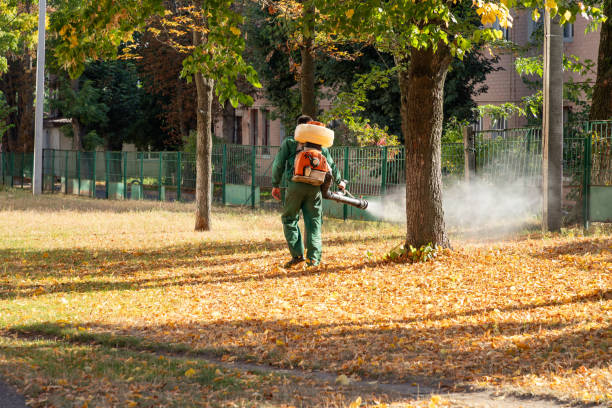 Pest Control Cost in Logan Elm Village, OH